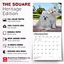 2027 BrownTrout Maltese 12" x 12" Monthly Wall Calendar (9798330714742)~#|#~2673A5B3-8E72-4BF2-83ED2BB5BD94E45A_sc7