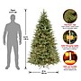 National Tree Company Frasier Grande Artificial Christmas Trees (PEFG4-308D-65)~#|#~26903E3A-86C2-4268-89CE4D783C4AB26D_sc7