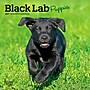 2027 BrownTrout Black Labrador Retriever Puppies 7" x 7" Monthly Wall Calendar (9798330714315)~#|#~2691B80F-1579-464D-8F16C04C9BCAE321_sc7