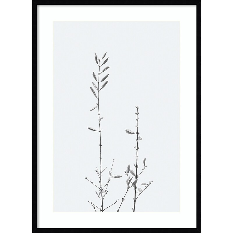 Amanti Art Retro Tennessee Botanical Print No 2 by Stephanie Klatt Wood Framed Wall Art Print, 30" x 41" (A42678254856) image 1