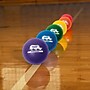 Champion Sports Rhino Skin 6" Dodgeball Set, Assorted Colors (RXD6SET)~#|#~2697A689-5B82-4497-932C0F79A8325512_sc7