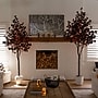 Nearly Natural Pre-Lit Artificial Halloween Black Eucalyptus Tree, 9' (T5226)~#|#~26A9DC09-BD2C-4002-B6A01457F979443B_sc7