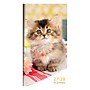 2027 TF Publishing Kitten 3.5" x 6.5"  Monthly Standard Planner, Paperboard Cover, Multicolored (27-7022)~#|#~26B44A3F-7F6E-4903-85ECEE1B19FB02B2_sc7