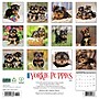 2026 Willow Creek Yorkie Puppies 12" x 12" Monthly Wall Calendar, Reversible (53362)~#|#~26B68FA2-92F7-4253-A1AD02A11F0B40BF_sc7
