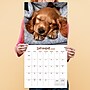 2026 TF Publishing Dog Dreams 12" x 12" Monthly Wall Calendar (26-1010)~#|#~26BFED5F-20EC-48CF-94FB8B4C2FBDDEAD_sc7