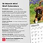 2026 BrownTrout Boxer Puppies 7" x 7" Monthly Wall Calendar (9798330702619)~#|#~26CD45B7-AE74-413F-832019A987B7FF74_sc7