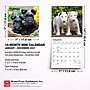 2027 BrownTrout For the Love of Puppies 7" x 7" Monthly Wall Calendar (9798330709748)~#|#~26D108BC-0160-4AFF-857E5E36B848B828_sc7