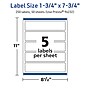 Avery TrueBlock Laser/Inkjet Rectangle Multipurpose Labels, 1.75" x 7.75", White, 250/Box (94232)~#|#~26D966F6-7EAB-4C84-A6506DCA5454FFC9_sc7