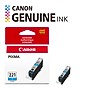 Canon 221 Cyan Standard Yield Ink Cartridge  (2947B001)~#|#~26E87E99-F0DF-4413-B4F27FDA2FDDC212_sc7