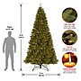 National Tree Company North Valley Spruce Artificial Christmas Tree (NRV7-300-100)~#|#~26EA2DE0-129D-41FC-B2477ADB05FF8B96_sc7