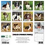 2027 Willow Creek English Springer Spaniels 12" x 12" Monthly Wall Calendar (60094)~#|#~26EDE1B1-1725-48B8-A3F0618AB5A74E38_sc7