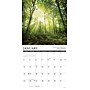 2026 Willow Creek Heaven Has a Forest 12" x 12" Monthly Wall Calendar (51450)~#|#~26FB5E93-D52E-4E97-9F1A3A7CAC2047B9_sc7