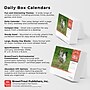 2026 BrownTrout Chickens 6.06" x 5.13" Day-to-Day Calendar (9798330702855)~#|#~2717F02A-20E1-46DF-9C6CF2CF413C74EF_sc7