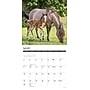 2027 Willow Creek Horses 12" x 12" Monthly Wall Calendar, Assorted Colors (60704)~#|#~27453557-1D41-4BD7-8E0D94B0861376E5_sc7