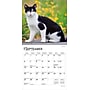 2026 BrownTrout Cat Lovers 7" x 7" Monthly Wall Calendar (9798330702770)~#|#~276B5D34-D178-4DE1-BB15FF10808298DF_sc7