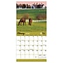 2026 TF Publishing Midwest Is Best Mini 7" x 7" Monthly Wall Calendar, Multicolor (26-2016)~#|#~276E1772-76C2-44A7-B67C5E3F058E9348_sc7
