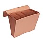 Staples Expanding File, A-Z Index, Letter Size, 21-Pockets, Brown (153437/68023S)~#|#~279EB296-E3DD-46F5-B09C5DD46E338175_sc7