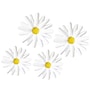 Carson Dellosa Education Happily Ever Elementary Retro Remix Daisies Dimensional Accents, 4/Pack, 3 Packs/Bundle (CD-107011-3)~#|#~27D521EA-0811-4A37-937D9F821CB4EE0D_sc7