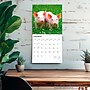 2026 BrownTrout Piglets 12" x 12" Monthly Wall Calendar (9798330705139)~#|#~2802D71C-ADF2-4CEC-B812B4DF0BE06BE7_sc7