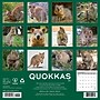 2027 Willow Creek Quokkas 12" x 12" Monthly Wall Calendar, Assorted Colors (61978)~#|#~280B7106-3D74-44EE-99FCC2C9130E805C_sc7