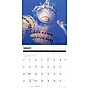 2026 Willow Creek Jellyfish 12" x 12" Monthly Wall Calendar (55892)~#|#~280F6957-ACB6-445C-93A3D6702D4C07D7_sc7