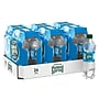 Poland Spring Simply Bubbles Sparkling Water, 16.9 oz., 24/Carton (12349574)~#|#~281324A9-5F69-492F-91A25997E99ABC4F_sc7