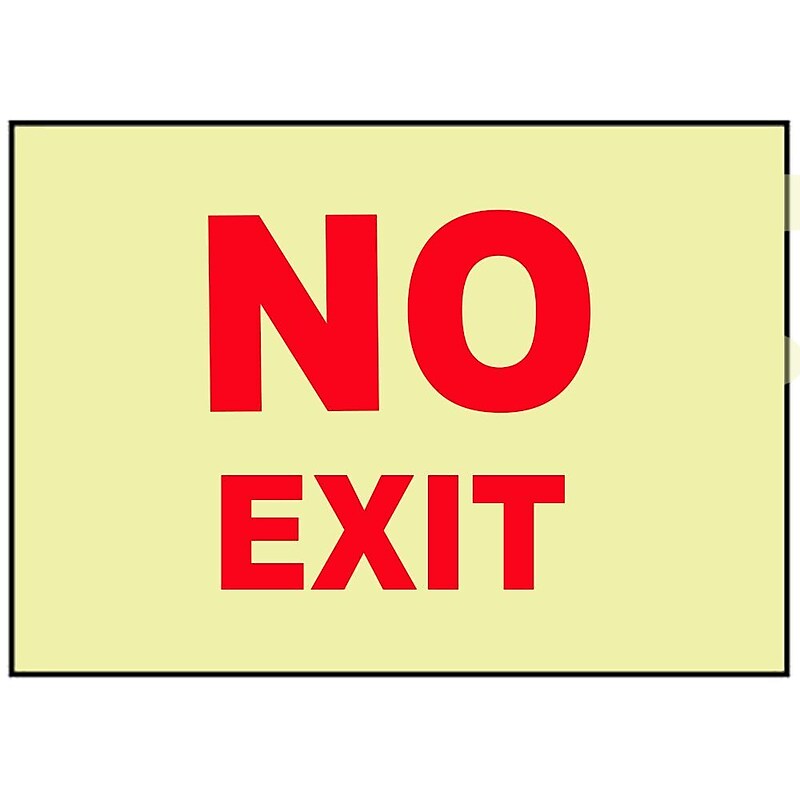 No Exit, 10X14, Adhesive Vinylglow image 1