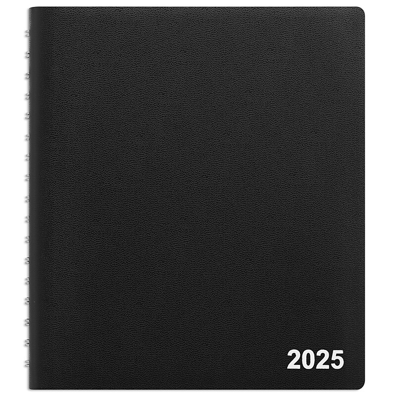 2025 Staples 7" x 9" Daily Appointment Book, Assorted Colors (ST12936-25) image 1