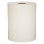 Scott Essential Hardwound Paper Towels, 1-Ply, 12 Rolls/Carton (04142)~#|#~2857EDC3-DF01-4C44-AAB51E34052CAE98_sc7