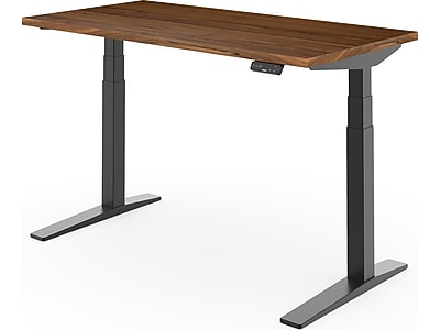 FlexiSpot E7 Pro Standing Desk