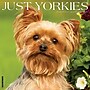 2026 Willow Creek Yorkies 12" x 12" Monthly Wall Calendar (53379)~#|#~2877602C-AB5A-4FD6-9669C262D440AA21_sc7