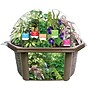 Fernroot Rainforest Biosphere, Multicolored (SRCEBRB621)~#|#~287891F8-7333-445E-8C78D5C1AE78D9D9_sc7