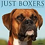2027 Willow Creek Boxers 12" x 12" Monthly Wall Calendar, Assorted Colors (59326)~#|#~288C4D18-E779-4DA6-847D5A030E5AD94E_sc7