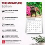 2027 BrownTrout French Bulldogs 7" x 7" Monthly Wall Calendar, Assorted Colors (9798330709991)~#|#~289968BE-2A05-4264-8DB5D9845E268641_sc7