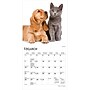 2027 BrownTrout Kittens & Puppies 7" x 7" Monthly Wall Calendar (9798330709724)~#|#~28B881DE-E542-4282-A39C1599058E363C_sc7