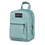 JanSport Big Break Insulated Lunch Bag, 2-Compartment, Faded Sage, 8 oz. (JS0A352LLA8)~#|#~28C2C8FC-E3EB-4382-A179D0DF8A283650_sc7