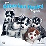 2026 BrownTrout Siberian Husky Puppies 12" x 12" Monthly Wall Calendar (9798330705603)~#|#~28D743EF-2167-452B-A99DC93A67BEA09D_sc7