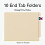 Pendaflex End Tab Classification Folder, 2-Dividers, 2" Expansion, Letter Size, Manila, 10/Box (PFX 13175)~#|#~28E5E778-4010-4EDF-8F6333F3F65779F2_sc7