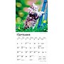 2026 BrownTrout For the Love of Kittens 7" x 7" Monthly Wall Calendar (9798330704132)~#|#~28EDB3DC-EBB0-49E1-AA9CAD7A4439BBA0_sc7