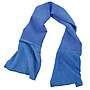Ergodyne Chill-Its 6604 Cooling Towel, Blue, One Size, 6/Carton (12490)~#|#~2901D606-A615-4E2F-9E43C7DC088962C5_sc7