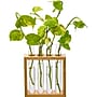 Supertek Square Plant Holder (SKFBLSP1003B)~#|#~29039C51-F97D-44F7-A148B0776822295D_sc7