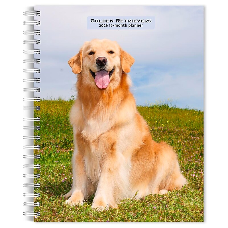 2026 BrownTrout Golden Retrievers 6.5" x 7.75" Weekly Planner (9798330703470) image 1