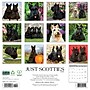 2026 Willow Creek Scotties 12" x 12" Monthly Wall Calendar (52693)~#|#~293BEDC5-4B22-40C8-8B88CE0B9301B76D_sc7