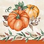 Say Hooray! Harvest Delight Paper Plates and Napkins Kit, Multicolored, 48/Pack (DTC9388E2G)~#|#~29419131-0114-4271-B64A37011ACB8493_sc7