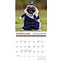 2026 Willow Creek Pug Mugs 12" x 12" Monthly Wall Calendar (52488)~#|#~29655F91-8198-4672-B35DFE1EE0E23CD3_sc7
