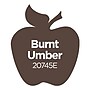 Apple Barrel Acrylic Paint Matte, 8oz., Burnt Umber, 6/Pack (APP20745E-6)~#|#~296AAAE7-41E9-4485-A7734B72836ACCE0_sc7