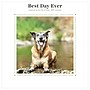 2027 TF Publishing Best Day Ever: Dogs 7" x 7" Monthly Wall Calendar, Multicolored (27-2008)~#|#~298548B2-91F0-4B79-9C6DDE5D2404E730_sc7