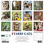 2027 Willow Creek Tabby Cats 12" x 12" Monthly Wall Calendar, Assorted Colors (62531)~#|#~298FC3C7-2645-43CE-9ECD11D8C20DF45A_sc7