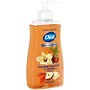 Dial Antibacterial Limited Edition Liquid Hand Soap, Toasted Hazelnut & Vanilla Scent, 11 oz. (1700035945)~#|#~2999AC02-5F9F-460D-9FFAD24B7506DA62_sc7