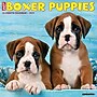 2027 Willow Creek Boxer Puppies 12" x 12" Monthly Wall Calendar, Assorted Colors (59319)~#|#~299E59DD-F323-4E63-8F8167CA38EE98B6_sc7